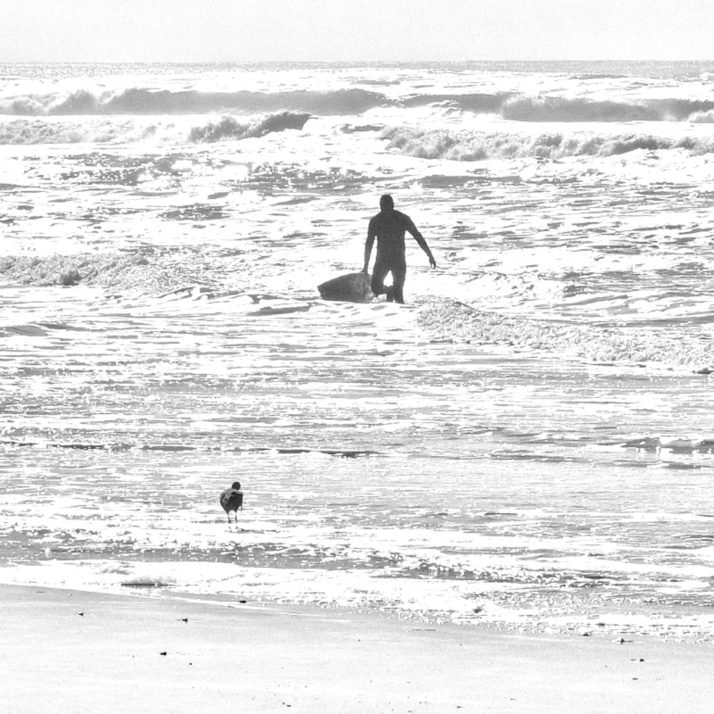 Digital surfer artwork by Rocking California